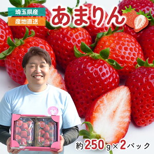 �y�ӂ邳�Ɣ[�Łz�������y��s�\��z���܂�� 2�p�b�N ��500g (1�p�b�N ��250g 9�`15��) | ���܂�� ������ �C�`�S � ��ʌ��I���W�i���i�� �嗱 �Â� �������� �V�N �G�ߌ��� ���Ԍ��� ���� ��