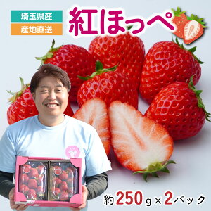 �y�ӂ邳�Ɣ[�Łz������ �y��s�\��z �g�ق��� 2�p�b�N ��500g (1�p�b�N ��250g 4�`12��) | �g�ق��� ������ �C�`�S � �嗱 �Â� �������� �������� �V�N �G�ߌ��� ���Ԍ��� ���� �ʎ� �H�ׂ₷