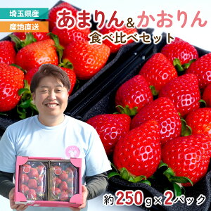 �y�ӂ邳�Ɣ[�Łz�������y��s�\��z���܂��E������� �H�ה�׃Z�b�g 2�p�b�N ��500g (���܂�� ��250g/�p�b�N 9�`15���E ������� ��250g/�p�b�N 9�`15��) | �C�`�S � �Â� �V�N ���ʌ��� ����