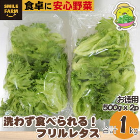 【ふるさと納税】【農薬不使用】洗わず食べられる！フリルレタス お徳用 1kg レタス サラダ 1kg 緑黄色野菜 送料無料 東松山 埼玉県 洗わず食べる 野菜 サラダ 新鮮な 便利 ナチュラル グリーン サラダ野菜 ダイエット