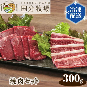 yӂ邳Ɣ[Łzq ēp YZbg ʂC 300g | ʌ Rs Y Y  ē Zbg Ⓚ N[ a ēZbg o[xL[ O  v~A 