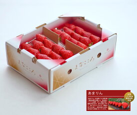 【ふるさと納税】＜先行予約＞あまりん まなこころ 葵 1箱(2パック×260g) or 2箱(4パック×260g) | あまりん アマリン イチゴ 苺 いちご あおい 新鮮 中粒 箱 2P 4P 真心農園 果物 フルーツ 甘い 美味しい ジューシー ビタミン おいしい おすすめ 贈り物 埼玉県 東松山市