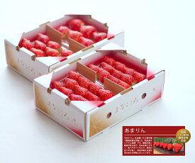 【ふるさと納税】新鮮 朝摘み！厳選 あまりん 15粒～ 20粒 約250g×4パック まなこころ・葵 イチゴ 苺 中粒 箱 4P 真心農園 特産 送料無料 東松山 埼玉県 新しい 果物 フルーツ 健康 自然 ナチュラル 甘い 美味しい ジューシー ビタミン おいしい おすすめ 贈り物