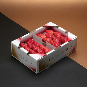 yӂ邳Ɣ[Łzs\񁄂ƂƂ ܂Ȃ  1(2pbN×260g) or 2(4pbN×260g) | ƂƂ C`S    VN   2P 4P^S_ ʕ t[c Â  