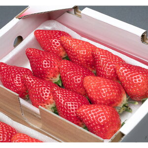 yӂ邳Ɣ[Łzs\񁄂ƂƂ߁y2pbN×280gz܂ȂE | ƂƂ g`Ig C`S    VN   2P ^S_ ʕ t[c R Â  W