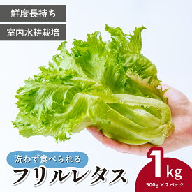 【ふるさと納税】フリルレタス お徳用 500g×2パック 計1kg 洗わず食べられる/室内水耕栽培 | レタス 減農薬 新鮮 洗わずに食べられる 新鮮レタス オーガニック野菜 室内栽培 清潔 野菜直送 フレッシュ サラダ用 健康志向 フレッシュ 産地直送 緑黄色野菜 埼玉県 東松山市