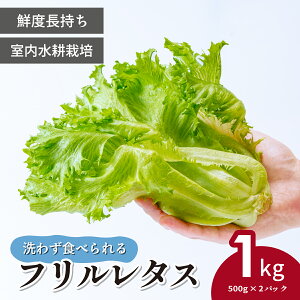 yӂ邳Ɣ[Łz킸HׂEk͔| t^X p 500g×2pbN 1kg | ^X _ VN 킸ɐHׂ VN^X I[KjbN ͔|  ؒ