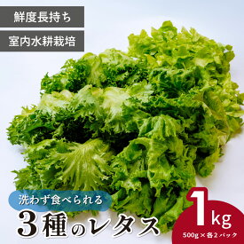 【ふるさと納税】3種のレタス 各500g×2パック 計1kg 洗わず食べられる/室内水耕栽培 | レタス フリルレタス グリーンリーフ グリーンオーク 減農薬 新鮮 オーガニック野菜 室内栽培 清潔 野菜直送 フレッシュ サラダ用 健康志向 産地直送 緑黄色野菜 埼玉県 東松山市