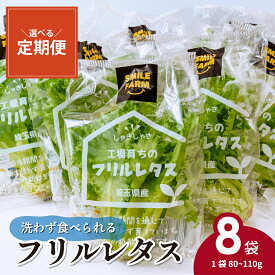 【ふるさと納税】フリルレタス 8袋 ［選べる定期便］ 洗わず食べられる/室内水耕栽培 | レタス 減農薬 新鮮 洗わずに食べられる 新鮮レタス オーガニック野菜 室内栽培 清潔 野菜直送 フレッシュ サラダ用 健康志向 フレッシュ 産地直送 緑黄色野菜 埼玉県 東松山市