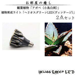 yӂ邳Ɣ[Łz̖@ϗtAuAKxihjvƐA琬CguwIXO[LEDiBe[Wjv2_ZbgiBN012-1j