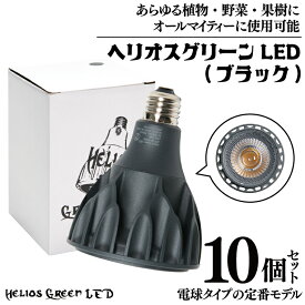 【ふるさと納税】電球タイプの定番モデル10個セット。あらゆる植物・野菜・果樹にオールマイティーに使用できます。「ヘリオスグリーンLED (ブラック)」（BN021-1）