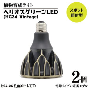 yӂ邳Ɣ[ŁzyIׂzA琬CguwIXO[LEDiVintagejv(BN043)