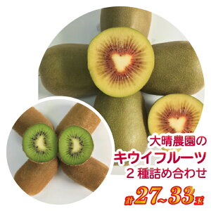 【ふるさと納税】春日部市「産直の里大晴農園 内牧」キウイフルーツ2種詰め合わせ 27〜33玉入り【本州限定】(BY003-3)