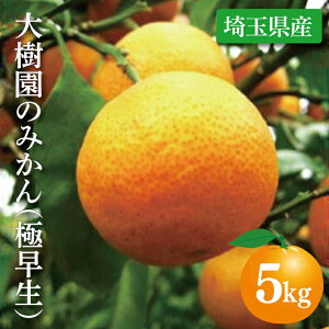 yӂ邳Ɣ[Łẑ݂iɑj5kgyʕ L@͔|  ts ʌziCH002-1j