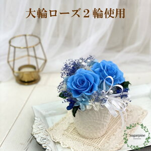 yӂ邳Ɣ[ŁzvU[uht[yt[/\[_u[zts VK[pC(AJ172-2j