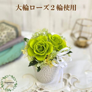 yӂ邳Ɣ[ŁzvU[uht[yt[/CgO[zts VK[pCiAJ179-2j