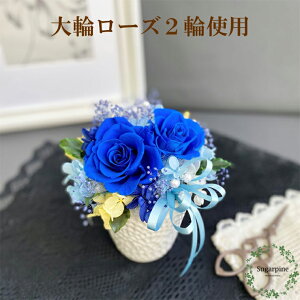 yӂ邳Ɣ[ŁzvU[uht[yt[/CfBSu[zts VK[pC(AJ171-2j