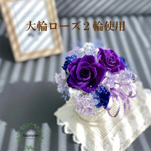 yӂ邳Ɣ[ŁzvU[uht[yt[/O[vzts VK[pCiAJ176-2j