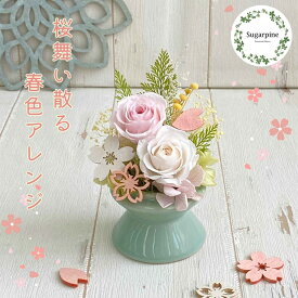 【ふるさと納税】プリザーブドフラワー　舞桜（まお）春日部市　シュガーパイン（AJ248）