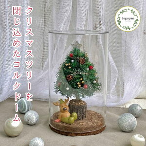 yӂ邳Ɣ[ŁzvU[uht[@k@ts@VK[pCiAJ265j