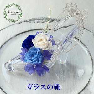 yӂ邳Ɣ[ŁzvU[uht[AW yrW[zts VK[pC(AJ009-1)