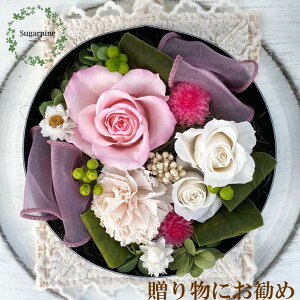 yӂ邳Ɣ[ŁzvU[uht[AW yK/[Yp[zts VK[pC(AJ012-1)