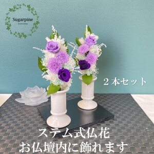 yӂ邳Ɣ[ŁzvU[uht[AWy/zts VK[pC(AJ077-1)