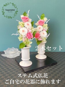 yӂ邳Ɣ[ŁzvU[uht[AWy/zts VK[pC(AJ078-1)