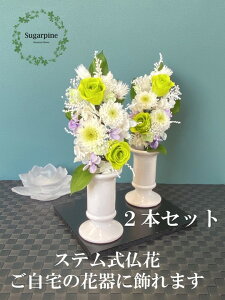 yӂ邳Ɣ[ŁzvU[uht[AWy/΁zts VK[pC(AJ079-1)