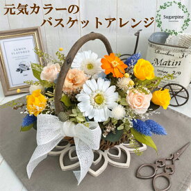 【ふるさと納税】プリザーブドフラワー【ヴィヴィ】　　　　　　　　春日部市 シュガーパイン（AJ205-1）