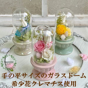 yӂ邳Ɣ[ŁzvU[uht[@H@sN@ts VK[pC(AJ182-1j