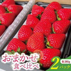 【ふるさと納税】おまかせ食べ比べ2パック【埼玉県 春日部 いちご 2種食べ比べ フルーツ 贈答用】（DI003）