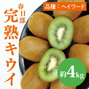 yӂ邳Ɣ[Łzys\zy12{蔭JnztnLEC4kg(BG002j
