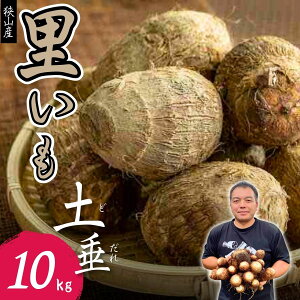 yӂ邳Ɣ[Łz Rsō̂ꂽytuyv Iׂe |   TgC   C  ₳  _Y VN ˂Ƃ   炩 Yn _