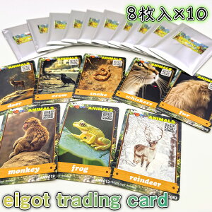 yӂ邳Ɣ[Łzeigot trading card 80 | J[h g[fBOJ[h p wK pP ׋ Q[ q l LЃACdC ʌ Rs