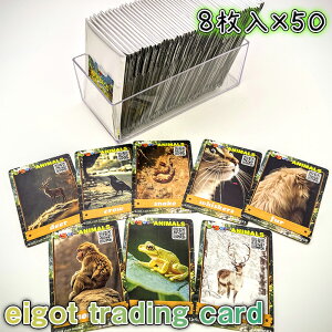 yӂ邳Ɣ[Łzeigottradingcard1{bNX400|J[hg[fBOJ[hpwKpP׋Q[qlLЃACdCʌRs
