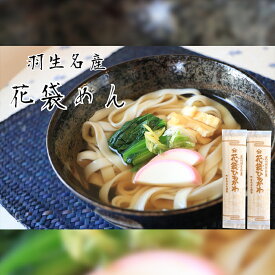 【ふるさと納税】 うどん 平打ち 乾麺 40人前 (200g×20入) 老舗 明治六年創業 武州羽生名産 花袋ひもかわ