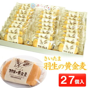 yӂ邳Ɣ[Łz َq mَq aَq  H̉ 27  yY v[g