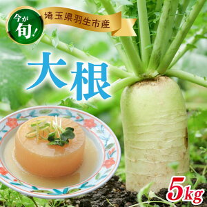 yӂ邳Ɣ[Łz 卪 3~5kg ʌ Ԍ   ϕ  Е t  卪낵 T_ daikon yasai Y xW^u ~ Yn _ ʌ Hs