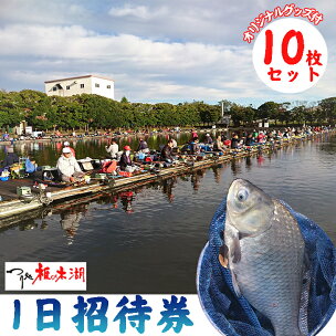釣り 体験 へら鮒釣り フィッシング つり処椎の木湖 1...