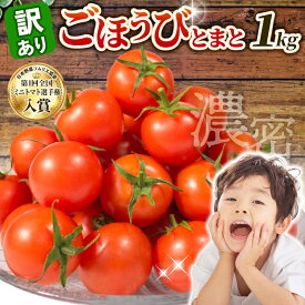 【ふるさと納税】 訳あり トマト 1kg とまと 甘い 高糖度 フルーツ ミニトマト 訳アリ 野菜 果物 濃厚 産地直送 とれたて 徳用 規格外 不揃い 健康 美容 アンチエイジング 生活習慣病予防 フルーツトマト ごほうびとまと 株式会社風の子ファーム 埼玉県 羽生市