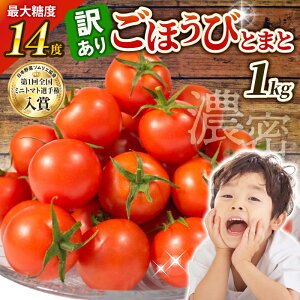 yӂ邳Ɣ[Łz g\th 󂠂 g}g 1kg Ƃ܂ Â x t[c ~jg}g A  ʕ Z Yn Ƃꂽ p KiO s N e A`GCWO K