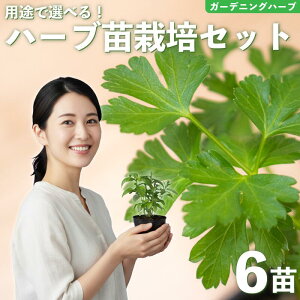 yӂ邳Ɣ[Łz n[u c ͔|Lbg 6i ԕc c K[fjO 񂹐A v^[ y 엿 t v[g 琬Zbg pi | ԕc  Zbg |^WFK[f ʌ