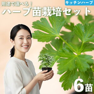 yӂ邳Ɣ[Łz n[u c ͔|Lbg 6i ԕc c K[fjO 񂹐A v^[ y 엿 t v[g 琬Zbg pi | ԕc  Zbg |^WFK[f ʌ