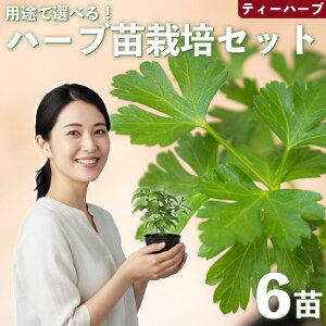 yӂ邳Ɣ[Łz n[u c ͔|Lbg 6i ԕc c K[fjO 񂹐A v^[ y 엿 t v[g 琬Zbg pi | ԕc  Zbg |^WFK[f ʌ