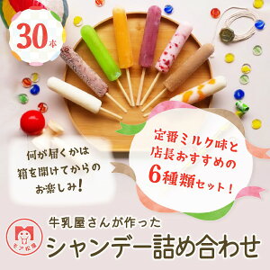 【ふるさと納税】 アイスキャンディー 詰め合わせ 6種 30本 セット モア松屋のシャンデー 店長おすすめ! キャンディー アイス 氷菓子