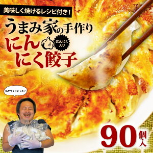 【ふるさと納税】 餃子 にんにく 生餃子 選べる容量 50個 〜 90個 冷凍 にんにくあり にんにくなし 手包み 手作り チャック付きパック 中華 ぎょうざ ギョーザ 豚肉 簡単 お手軽 絶品 おかず