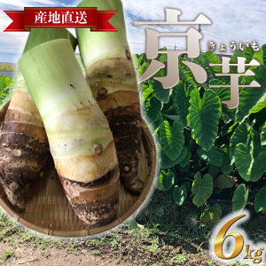 yӂ邳Ɣ[Łz ̂  3~6kg ʌ Ԍ    ⡈  Yn ʌ Hs