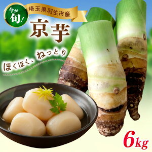 yӂ邳Ɣ[Łz ̂  3~6kg ʌ Ԍ    ⡈  Yn ʌ Hs