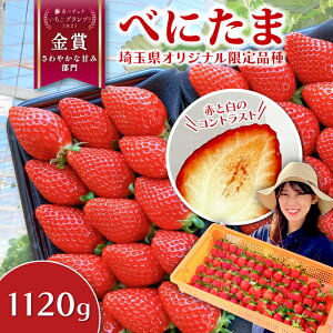yӂ邳Ɣ[Łz yOtz ׂɂ 560g 1.12kg Iׂ e  C`S Xgx[ ① Ԍ VN ǂ ̂ꂽ ܎ IWii uh Yn ʕ 